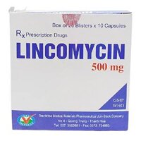 Lincomycin 500mg vỉ 10v Thanh Hóa