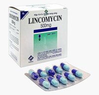 lincomycin 500mg vidipha (h/100v)