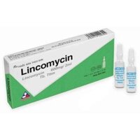 Lincomycin 600mg Vinphaco