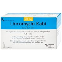 Lincomycin (chích - h/50) (bình định)