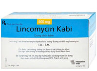 Lincomycin Kabi 600mg/2ml – Thuốc tiêm kháng sinh điều trị nhiễm khuẩn nặng (hộp 50 ống x 2ml)
