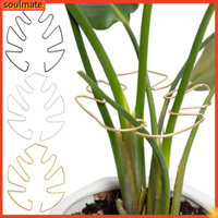 Linh hồn| Khung hỗ trợ cây trồng Kim loại Cổ phần cây kim loại Monstera Kẹp hỗ trợ cây trồng cho cây leo Giá đỡ thân cây chắc chắn để tăng trưởng khỏe mạnh Đông Nam Á được yêu thích