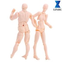 LINHU Linhu Vẽ Nhân Vật Đồ Chơi Hành Động Truyện Tranh Họa Sĩ Manga Tư Thế Con Người Hình Mô Hình