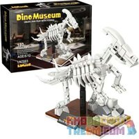 LINOOS LN7003 7003  VƯƠNG MIỆN RỒNG SKELETON. bộ đồ chơi xếp lắp ráp ghép mô hình Dino Museum DINO MUSEUM CORYTHOSAURUS Bảo Tàng Khủng Long 180 khối