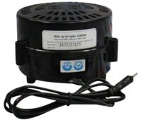 Lioa bộ đổi nguồn 1200W vào 220v ra 100v 110v 120v