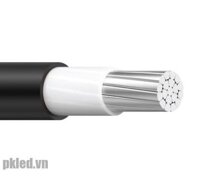 Lion AXV 2×16 cáp hạ thế 2 lõi – 7 sợi ruột dẫn nhôm /lõi