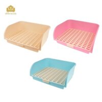 Litter lớn dành cho người lớn,,, dành cho người lớn, thỏ con, chuột lang, thỏ rừng,