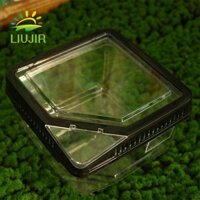 Liujir Chống thoát hiểm Bò sát Terrarium Tank Trong suốt Ốc bền