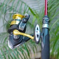 [LK HÒA] BỘ 2 SẢN PHẨM CẦN CÂU CHEAP LK VÀ MÁY DAIWA RS, BỘ CẦN MÁY CHUYÊN CÂU LURE