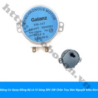 LKGD3 Động Cơ Quay Đĩa Lò Vi Sóng SM-16T 30VAC 3W Chân Trục D 5-6rpm