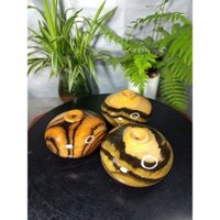 Lọ Bình Phú Qúy Gỗ Cẩm Thị KT ngang 11cm - Decor - trang trí
