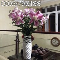 Lọ bom tổ ong  Gốm sứ Bát Tràng cao cấp