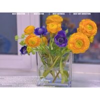 Lọ Cắm Hoa Thủy Tinh Vuông Decor Nhà Cửa - Bình Hoa Thủy Tinh Trong Suốt Trồng Cây, Nuôi Cá