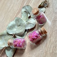 Lọ đá thô thanh tẩy Ruby thiên nhiên đỏ hồng sưu tầm, trang trí, reili, thiền định