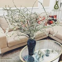 Lọ Đùi Dế men hoả biến cắm dc rất nhiều loại hoa - Hàng thủ công mỹ nghệ Decor Decor Phòng