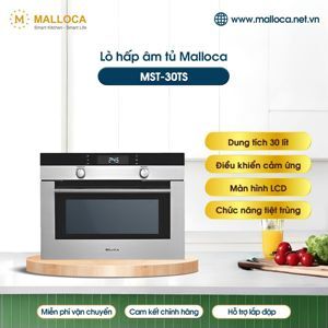 Lò hấp Malloca MST 30TS
