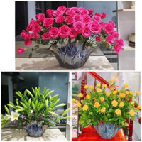 Lọ hoa decor hình lá sen kèm miếng lót cắm hoa,Bình hoa decor gốm sứ bát tràng cao cấp