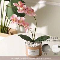 Lọ hoa giả để bàn 🌺