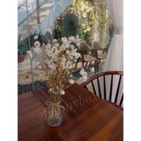 Lọ hoa khô xinh xắn thích hợp decor bàn làm việc