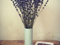 Lọ Hoa Lavender – LHLav 07