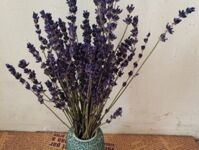 Lọ Hoa Lavender – LHLav 08