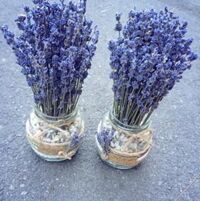 Lọ Hoa Lavender – LHLav06
