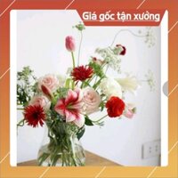 Lọ Hoa Thủy Tinh, Lọ Cắm Hoa Trong Suốt Giá Rẻ - Trụ Loe Thanh Xuân
