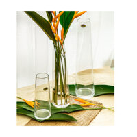 Lọ hoa thủy tinh/ trụ vát TRƠN/ Lọ vát MIỆNG NHỎ cắm hoa xinh xắn, decor không gian nhà cửa sang trọng, tinh tế