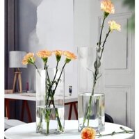 Lọ hoa thủy tinh/ trụ VUÔNG cao cắm hoa, trang trí nhà sang trọng, tinh tế kt 10x40