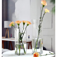 Lọ hoa thủy tinh/ trụ VUÔNG cao cắm hoa, trang trí nhà sang trọng, tinh tế kt 10x40