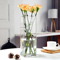 Lọ hoa thủy tinh/ trụ VUÔNG cao dùng cắm hoa, decor nhà kt 10x30