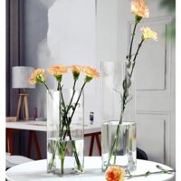 Lọ hoa thủy tinh/ trụ VUÔNG cao cắm hoa, trang trí nhà sang trọng, tinh tế kt 10x40