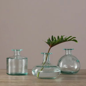 Lọ hoa thủy tinh VSM Florero Botella 12cm