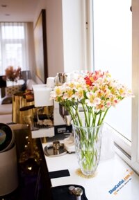 Lọ hoa Waterford Marquis 28cm - Made in Germany - lọ hoa pha lê có độ tinh khiết, sắc nét cao