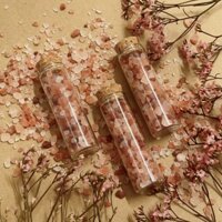 Lọ muối hồng Himalaya Salt Pink Salt thanh tẩy năng lượng