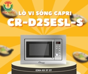 Lò nướng âm tủ Capri CR-D25ESL
