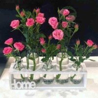 LỌ THUỶ TINH CẮM HOA SET 5 lọ
