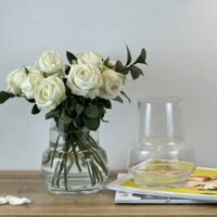 Lọ thủy tinh trong suốt dáng basic vintage