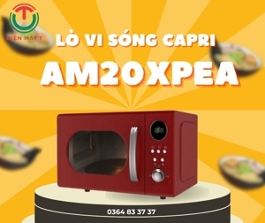 Lò vi sóng âm hoặc để bàn Capri AM20XPEA
