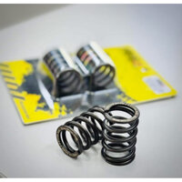 Lò xo xupap Fasstek Racing OVAL cho Wave Dream 2 Vale