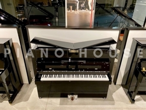 Loa Pure Noble - 5.1