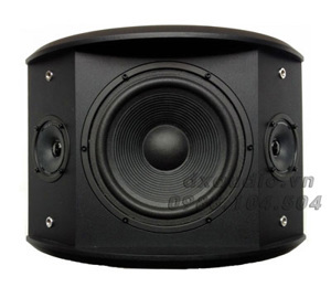 Loa AAD W8 Speaker