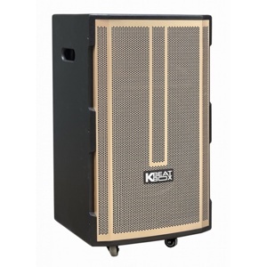 Loa Acnos CB391G