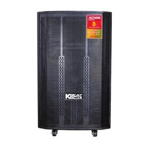 Loa Acnos CB4050MAX