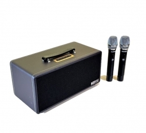Loa Acnos KS362D