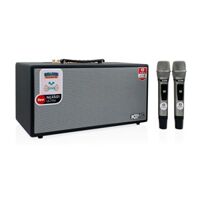 Loa ACNOS NL4501 ULTRA – Tích Hợp Nâng Tiếng, Kèm 2 Micro