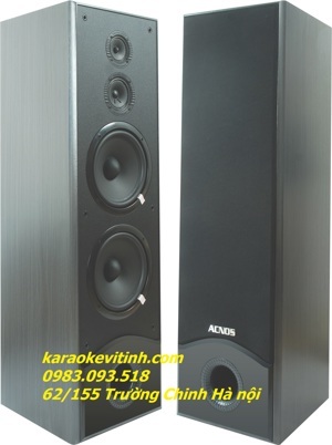 Loa Acnos SL919 (SL-919)