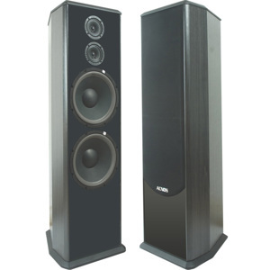 Loa Acnos SL939 (SL-939)