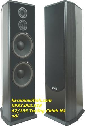 Loa Acnos SL939 (SL-939)