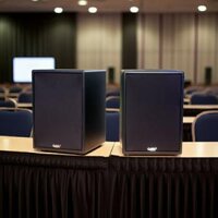 Loa Acoustic, hội trường V230PU DA (số lượng 1 loa) công suất 200w, loa bass 25 cm, treble 10 cm, kích thước rộng 32 cm, cao 47 cm, sâu 31 cm, phủ da PVC cao cấp, bảo hành dài hạn 5 năm.